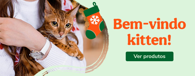 Os produtos essenciais para receber em casa o novo gatinho