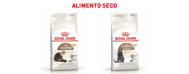 Royal Canin Senior. Encontre a ração que melhor se adapta ao seu gato sénior.
