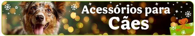 Os melhores acessórios para cão, com promoções especiais e variedade.
