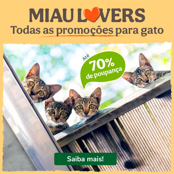 Promoções para gatos com até 70% de desconto em alimentação, snacks e acessórios.
