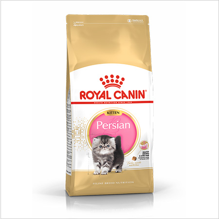 Royal Canin British Shorthair ração para gatinhos