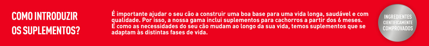 Quando deve incluir suplementos? É importante ajudar o seu cão a ter uma vida mais longa. Suplementos adaptados a cada etapa de vida