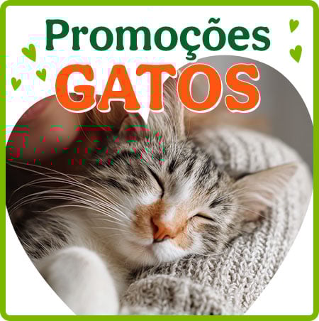 Promoções para gato