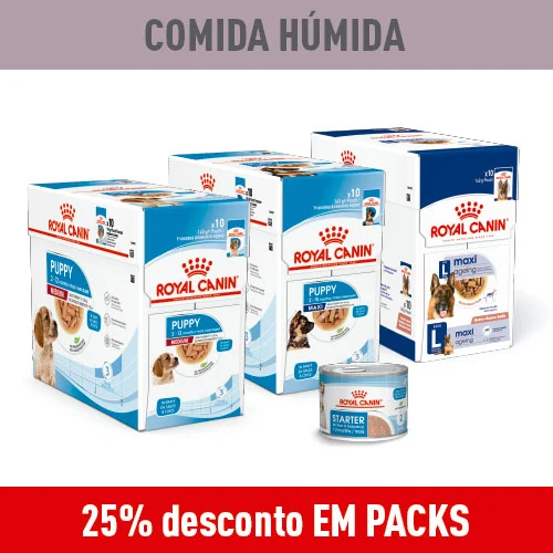 25% de desconto em packs de comida húmida para cães.