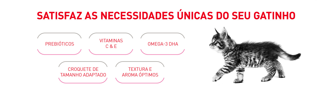 Satisfaça as necessidades únicas do seu gatinho