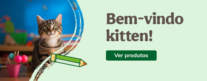 Bem-vindos gatinhos
