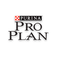 Pro Plan