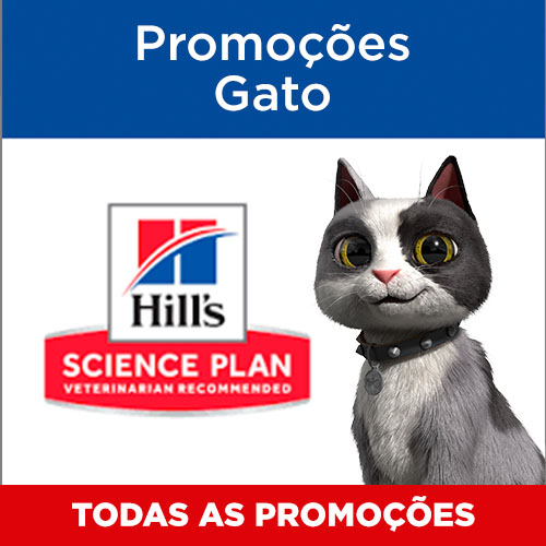 Ofertas para gato.