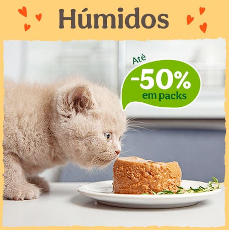 Até 50% de desconto em packs de comida húmida para gato na Tiendanimal. Aproveite esta promoção para alimentar o seu felino com refeições saborosas e equilibradas!