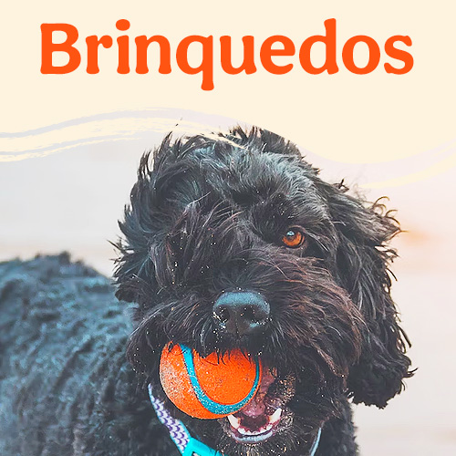 Brinquedos