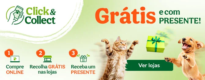 Grátis e com presente Grátis e com presente