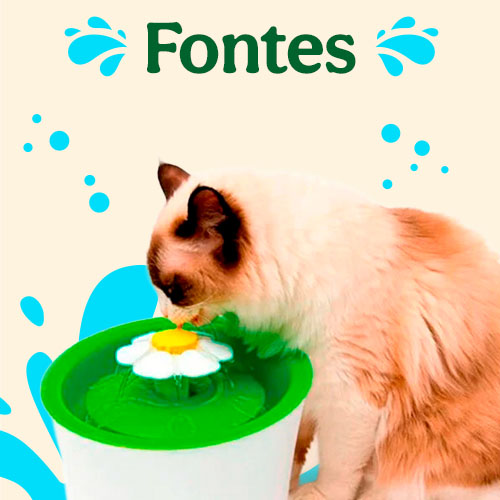 Fontes e bebedouros