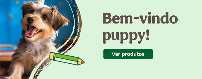 Bem-vindos cachorrinhos