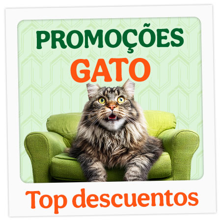 Promoções para gato