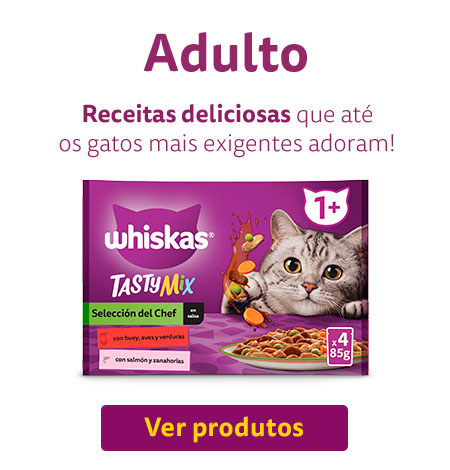 Produtos para gato adulto