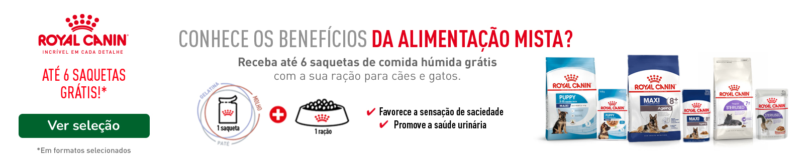Até 6 un. de comida húmida em rações Royal Canin