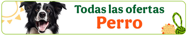 Todas las ofertas perro