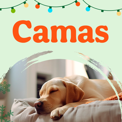 Promoções em Camas