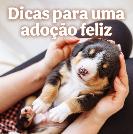 Dicas para uma adoçao feliz