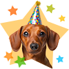 Promoções para cães