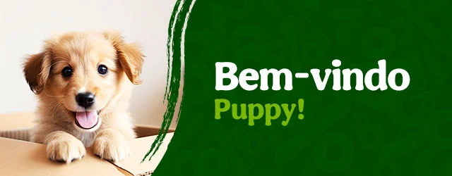 Os produtos essenciais para receber em casa o novo cachorro