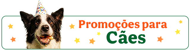 Promoções cão