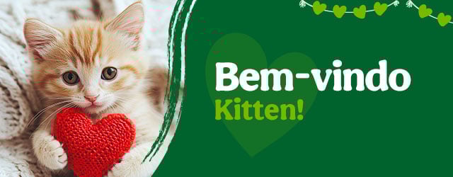 Os produtos essenciais para receber em casa o novo gatinho