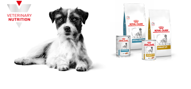 Royal Canin Veterinario Cão