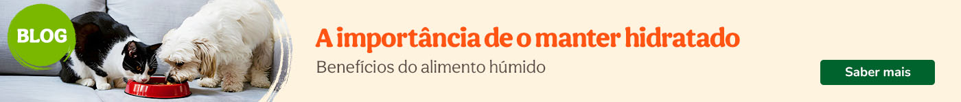 Importância da hidratação em animais, artigo informativo no blog da Tiendanimal sobre cuidados essenciais no verão.