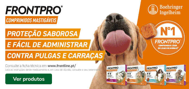 Frontpro: Comprimidos antiparasitários para o seu patudo.