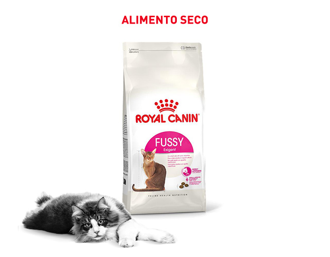 Royal Canin Fussy: a ração perfeita se o seu gato tem um paladar exigente