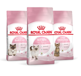 Royal Canin Gatinho