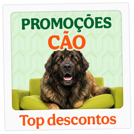 Promoções para cães.