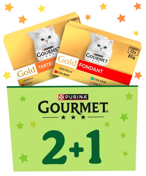 Gourmet 3x2