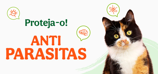 Proteja o seu gato dos parasitas com os antiparasitários da Tiendanimal. Mantenha o seu felino livre de pulgas e carraças com as melhores soluções de proteção!