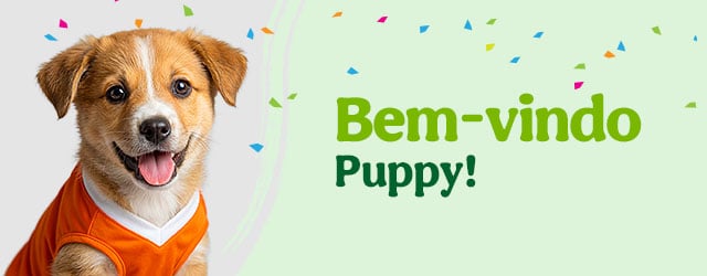 Os produtos essenciais para receber em casa o novo cachorro