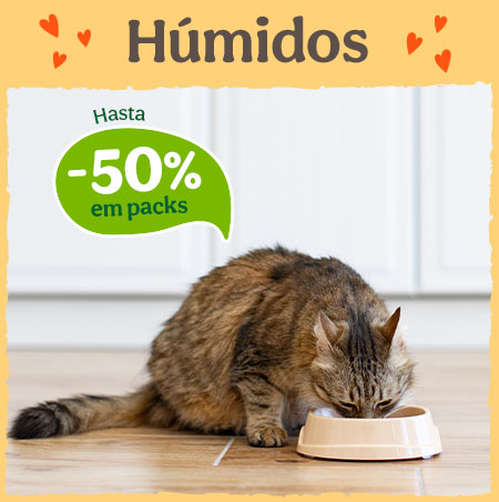 Miaumania: Até 50% de desconto em comida húmida para gatos.