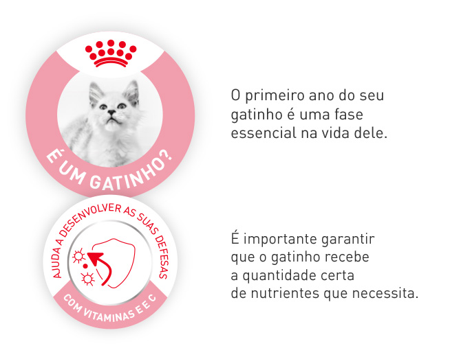 Royal Canin gato junior. O primeiro ano de vida é essencial. É importante que receba a quantidade certa de nutrientes de que precisa.