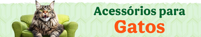Os melhores acessórios para gato com qualidade e variedade para o seu patudo.
