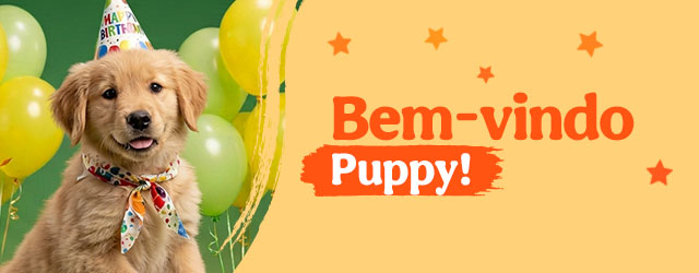 Os produtos essenciais para receber em casa o novo cachorro