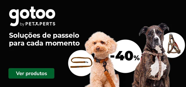 Gotoo: Até 40% de desconto em acessórios e passeio para o seu cão.