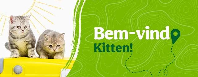 Bem-vindo Kitten