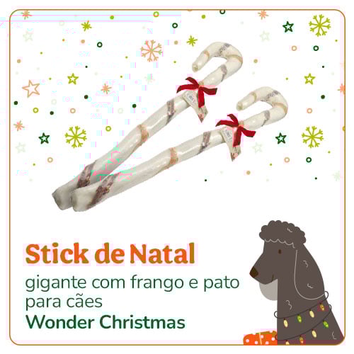 Um snack especial para cão.