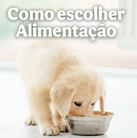 Como escolher a alimentaçao ideal