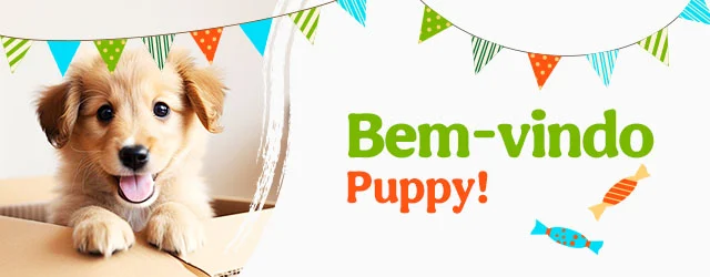 Os produtos essenciais para receber em casa o novo cachorro