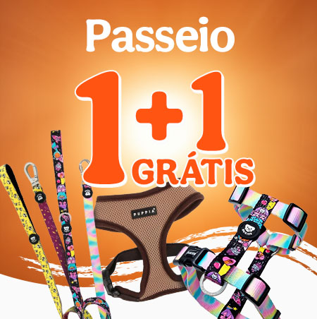 1+1 grátis em acessórios de passeio.