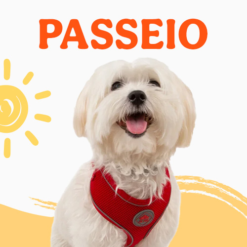 Promoçoes Passeio