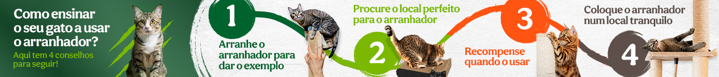 Como ensinar o seu gato a usar o arranhador?