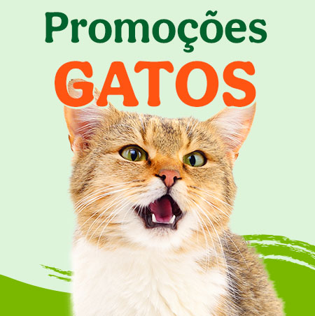Promoçoes gato