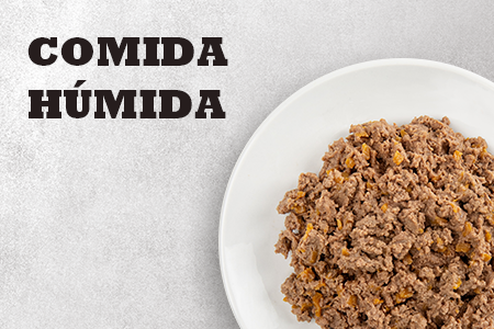 Acana. Alimento húmido para gatos.